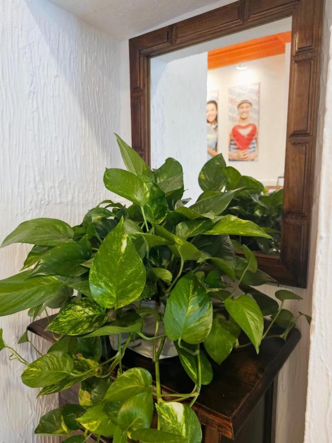 فندق Arc House غرناطة المظهر الخارجي الصورة